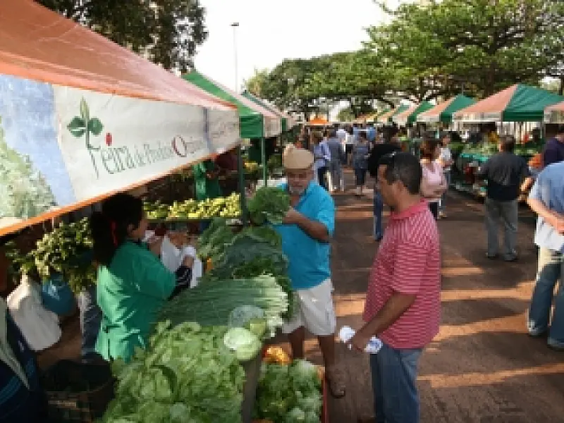 Feira de Orgânicos acontece hoje no Paço Municipal