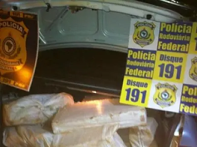 Apreendido mais de 380 kg de maconha na Capital