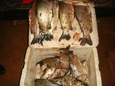 PMA prende 03 pescadores no rio Dourados