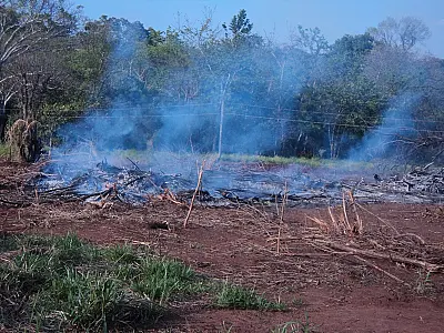 PMA autua proprietário rural por incêndio em vegetação