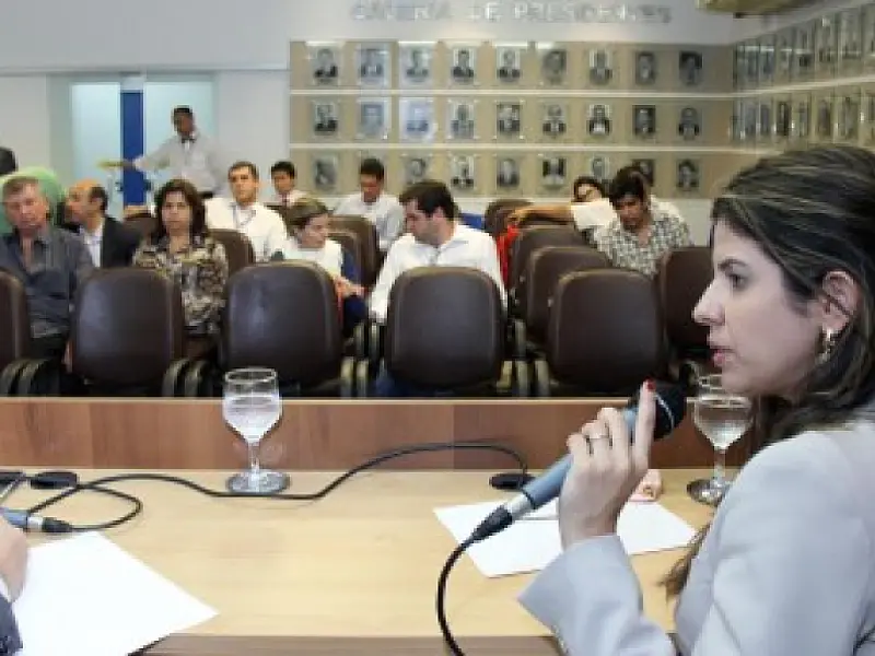 Promotora do MPE, Paula Volpe presta esclarecimentos à CPI do HC e HU
