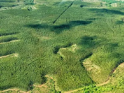 Governo prorroga prazo para municípios entregarem documentação do ICMS Ecológico
