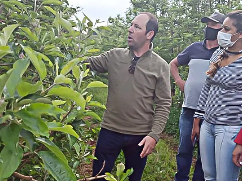 Funtrab está com 655 vagas para indígenas interessados em trabalhar em lavouras de maçã em SC e RS
