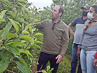 Funtrab está com 655 vagas para indígenas interessados em trabalhar em lavouras de maçã em SC e RS
