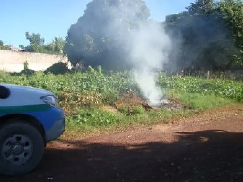 PMA autua aposentado por queima em terreno
