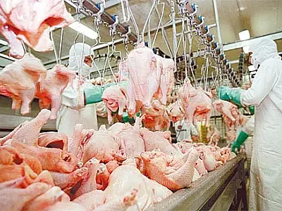 Oferta per capita cresce mais de 400% em três décadas