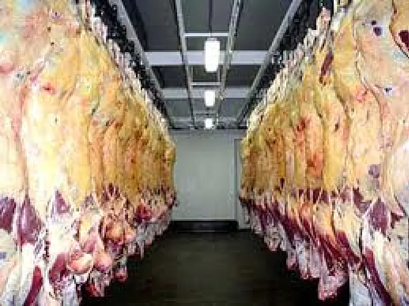 Ministro da Agricultura pede ao Irã fim do embargo à carne brasileira