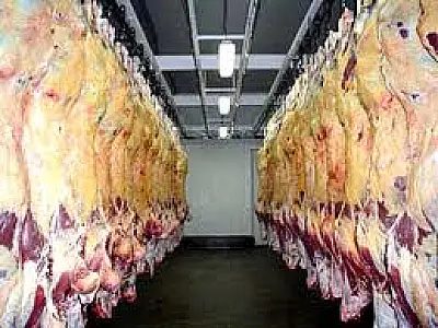 Ministro da Agricultura pede ao Irã fim do embargo à carne brasileira