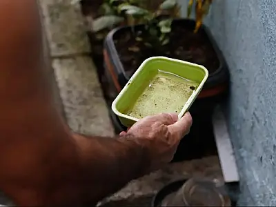 Dicas simples podem livrar sua casa dos focos da dengue e se prevenir contra doença