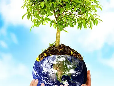 5 de junho: Dia Mundial do Meio Ambiente