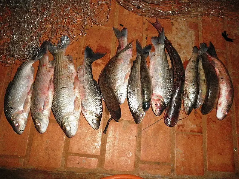 PMA prende quatro pescadores pescando em piracema e aplica R$ 4,4 mil em multa