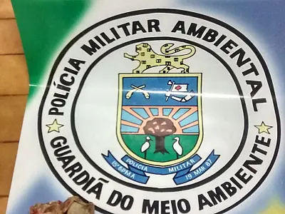 PMA autua caçador por abate de animais em extinção