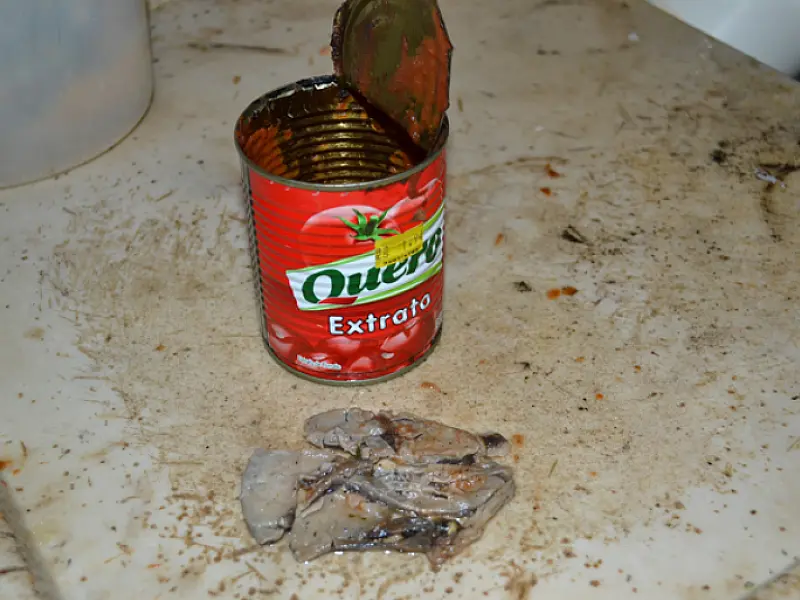 ‘Corpo’ estranho é encontrado dentro de embalagem de extrato de tomate em Coxim