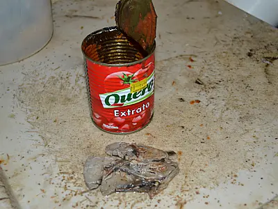 ‘Corpo’ estranho é encontrado dentro de embalagem de extrato de tomate em Coxim