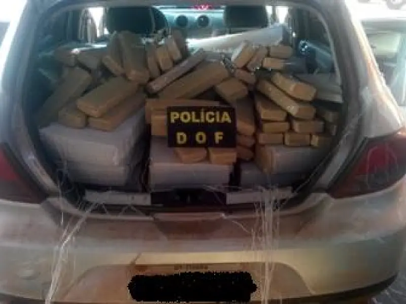 DOF apreende 660 quilos de maconha