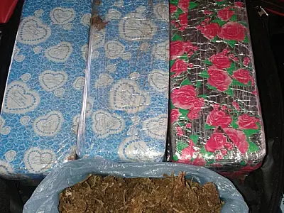 Jovens são presos por tráfico de drogas na MS 289