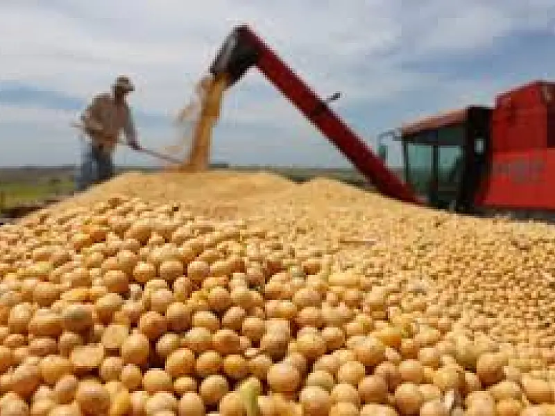 Projeto mapeia os custos de produção da soja e do milho em MS