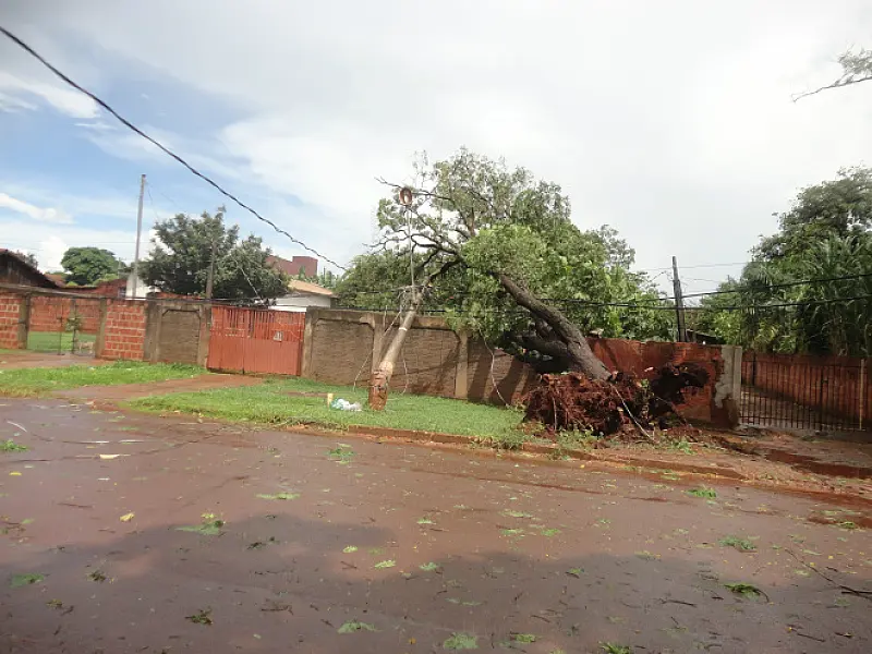 Chuva forte derruba árvores, postes e interrompe energia em Dourados