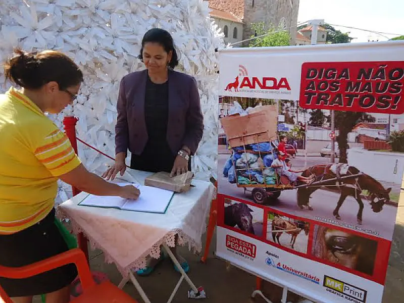 Defensores de animais pedem fim aos maus tratos