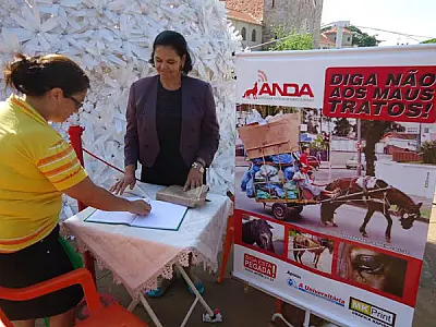 Defensores de animais pedem fim aos maus tratos