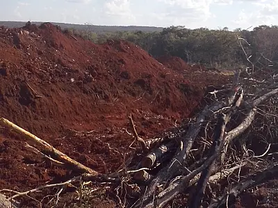 Fazendeiro é autuado por explorar madeira protegida, incêndio e tentar esconder o crime