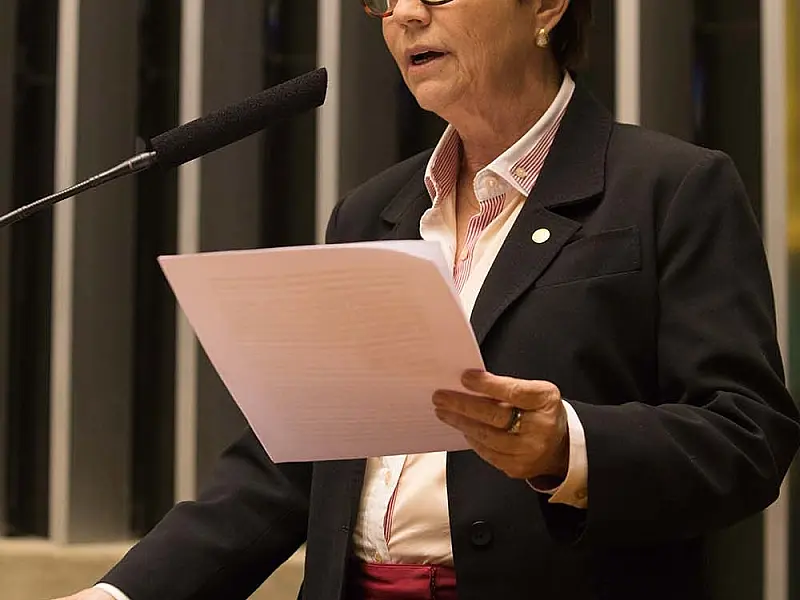 Deputada do MS questiona relatório da ONU e defende solução para conflitos indígenas
