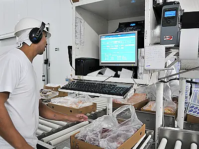 Exportação de industrializados de MS tem alta de 6% e chega a US$ 1,14 bilhão no ano