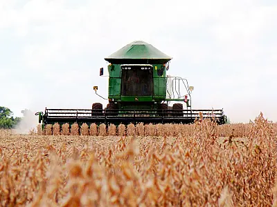Sul de MS já tem plantado quase um quarto da área de soja da safra 16/17