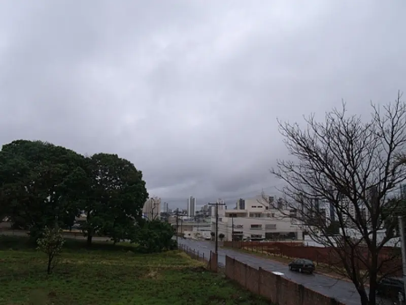 Vento derruba árvores e previsão é de mais chuva na Capital