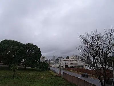 Vento derruba árvores e previsão é de mais chuva na Capital