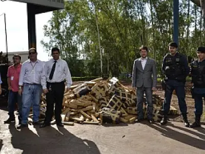 Policiais de Aparecida do Taboado incineram 1.357 quilos de maconha