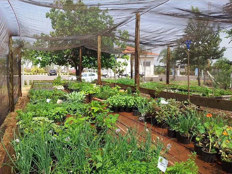 Oficina de cultivo será oferecida na exposição “Sementes da Esperança”