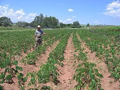 Alunos de escola agrícola farão curso de especialização