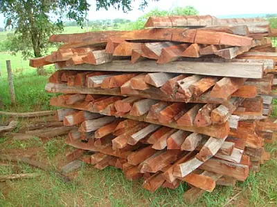 Fazendeiro é autuado em R$ 7,5 mil por derrubada de aroeira em Terenos