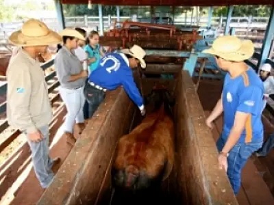 Educadores internacionais vêm conhecer escola agrícola da Capital