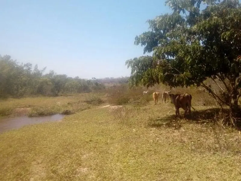 Fazendeiro é multado em R$ 5 mil por degradação do meio ambiente