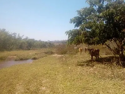 Fazendeiro é multado em R$ 5 mil por degradação do meio ambiente
