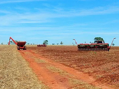 Lavouras que sustentam produção de celulose em MS tem alta de 28%