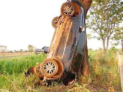 Carro vai parar em cima de árvore em acidente na MS-306