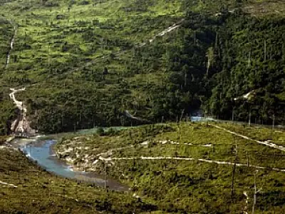 Desmatamento na Amazônia Legal diminui 42% em junho