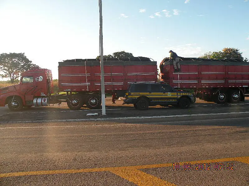 PMA apreende 32 m3 de madeira por transporte ilegal em Coxim