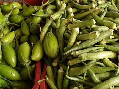 Encontro Nacional de cultivo de hortaliças começa nesta segunda-feira em Bonito