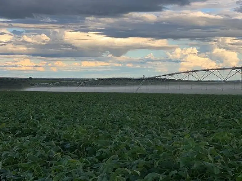 Irrigação de 800 hectares em Bandeirantes é reflexo da política de incentivo do Governo de MS