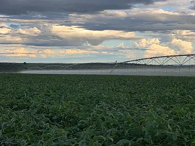 Irrigação de 800 hectares em Bandeirantes é reflexo da política de incentivo do Governo de MS