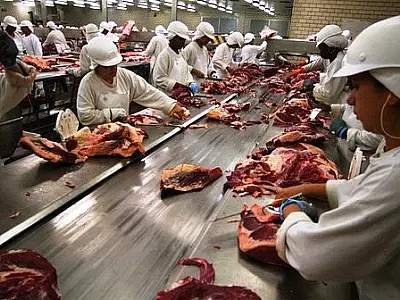 Frigoríficos de MS tem carne habilitada e poderá exportar para Arábia Saudita