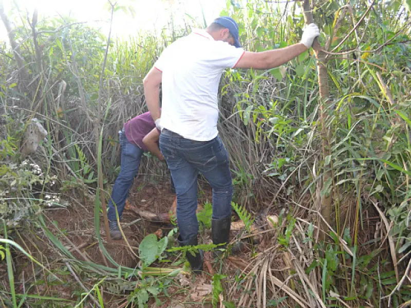 Corpo é encontrado às margens de córrego em Nova Alvorada do Sul