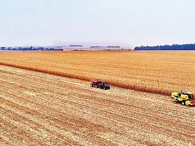 MS já detém 10% das exportações brasileiras de carne e dribla perdas do agro com tecnologia
