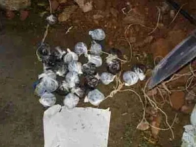 Agentes encontram drogas e armas em vistoria no presídio de Dourados