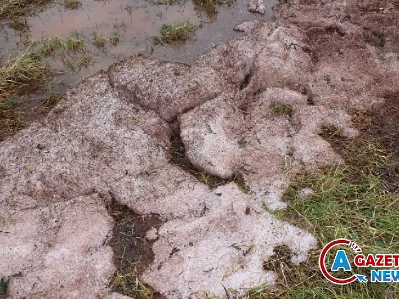 Chuva de granizo provoca estragos e assusta moradores de Paranhos