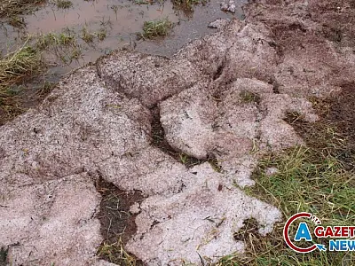 Chuva de granizo provoca estragos e assusta moradores de Paranhos